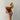 BLOODY MARY COCKTAIL MIXER - 6 SERVES - Mr. Consistent